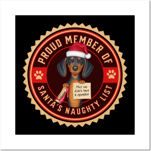 Cute Doxie Dog with new chew toy on Dachshund Proud Member of Santa's Naughty List Posters and Art